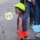 양원정