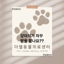 더엘동물의료센터 이미지
