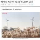 가음정사거리 습지공원 앞 | [이벤트모임 후기] 북악팔각정과 하늘공원 겨울 억새와 강서습지생태공원 구경(2026년 2월 15일 일요일...