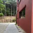 신협연수원 버스정류장 | [대전카페]유성구 덕명동 카페 숲속카페 힐링카페 야외테라스카페 수유실카페 스콘맛집 ‘레포레스트’