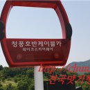 청풍면사무소 앞 이미지