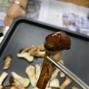 형제참송이농원