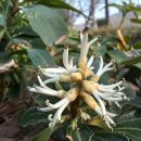 창이대로 이미지