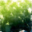 감성일러스트 이미지