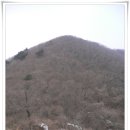 금남호남정맥 2구간(차고개~팔공산~성수산~30번국도) ......(무학) 이미지