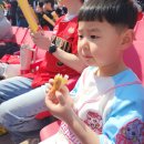 감탄떡볶이 | 기아 챔필 시범경기 새로운 먹거리탐방-보영만두, 감탄떡볶이