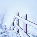 1월12일 두리 산악회 소백산 신년 산행 이미지