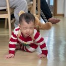 선영약국 | (11) 작심삼일 돌아옴