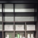 웰니스약국 이미지