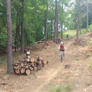 【라이딩후기】 군포.안산의 아기자기 그물망 산길들.지역로컬들의 사랑그득 싱글길들의 그림들~1 이미지