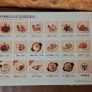 홍익돈까스 온양온천점 | “이 바삭함, 실화냐? 아산에서 꼭 가봐야 할 돈까스·생선까스 맛집”