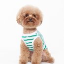 써니도그 이미지