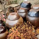 뜨락민박 이미지