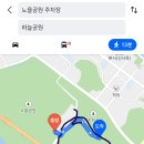 중앙로 메타세콰이아길 이미지