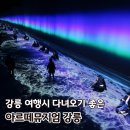 강릉 뚜벅이 여행 코스 추천 : 아르떼뮤지엄 강릉 예약 및 후기