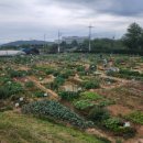 호양농장 이미지