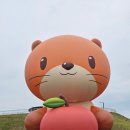 충주시푸드마켓 | 2025 충주 다이브 페스티벌 첫날 다녀온 후기