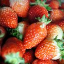 수겸농장 이미지