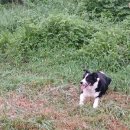 배울목장 이미지