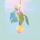 [일상] 일본 드라마 언내추럴 정주행 후기 (요네즈 켄시 Lemon 포함)