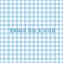 빌베리 이미지