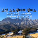 C.C당구장 | 고성 소노펠리체 델피노 소노캄 소노문 소노펠리체 빌리지 객실 한 눈에 보기