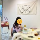 다정하고 맛있개 이미지