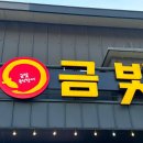 금빛장어 이미지