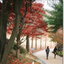 산책길-1 이미지