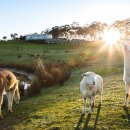(주)젬트리 이미지