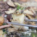 오성회관 이미지