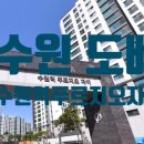 금화로12번길 | 수원 실크 벽만 도배 시공 수원역푸르지오자이