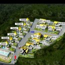 야자수 풀빌라 이미지