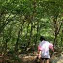 강당골펜션민박