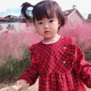 서문경농업협동조합 가은지점 하나로마트