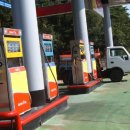 하양혈리 이미지