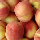 세종농장 이미지