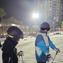 평창 스키장 입문 후기! 초보도 2시간이면 탈 수 있다?🎿❄️