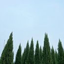 척과농장 이미지