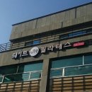 바디라인  필라테스 요가 이미지