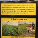 씨유 성남태평마을점 | 성남 장어 맛집 통보장어마을 성남수진점 방문 추천 후기