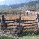 월영마을 이미지