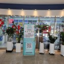 샘샘약국 이미지