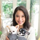 히로세 아리스 카카오 검색결과