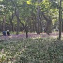 황성공원 이미지