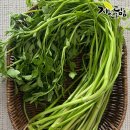 담음 쇼핑하우