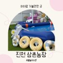 삼촌농장 | 진천 삼촌농장 물놀이 예약 후 이용 후기