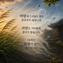 바람에 드러눕는 풀은 부러지지 않는다 이미지