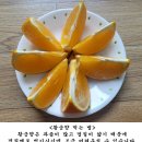 맛있는 서귀포 조생감귤 판매 마감합니다. 이미지