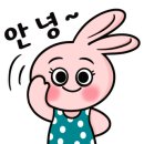 촘촘진천점 이미지